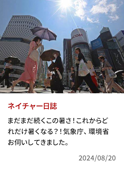 まだまだ続くこの暑さ！これからどれだけ暑くなる？！気象庁、環境省お伺いしてきました。