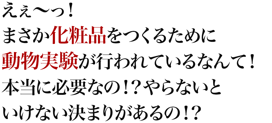 えぇ～っ！まさか化粧品をつくるために動物実験が行われているなんて！本当に必要なの！？やらないといけない決まりがあるの！？