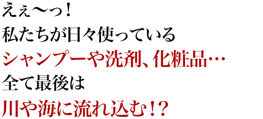 えぇ～っ！私たちが日々使っているシャンプーや洗剤、化粧品…全て最後は川や海に流れ込む！？